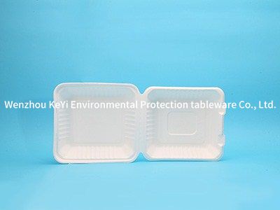 9inch no compartment clamshell