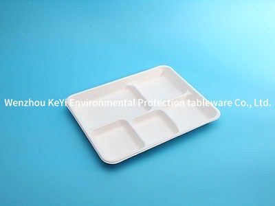  5 compartment school lunch trays