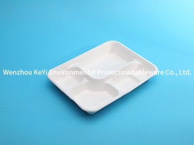 compartment disposable food  tray P-12