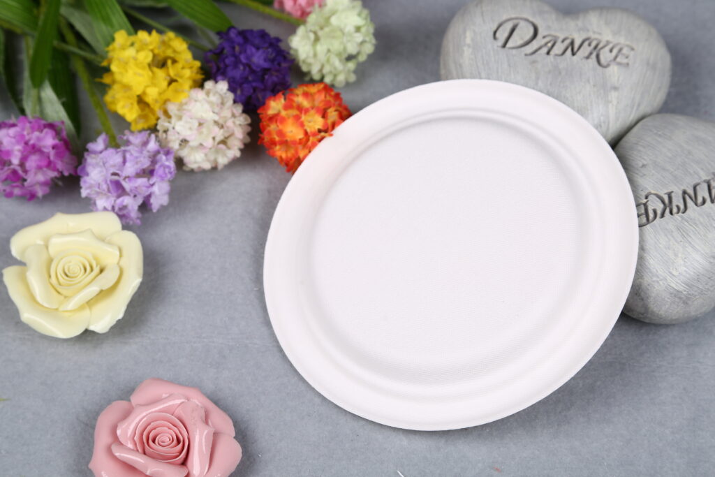 6 inch compostable plate YP-06-2