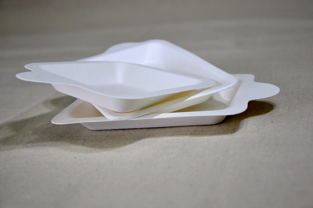 Rectangle cake compostable container plateRCP-101-5