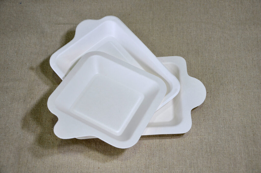 Square cake compostable plate SCP-100-2