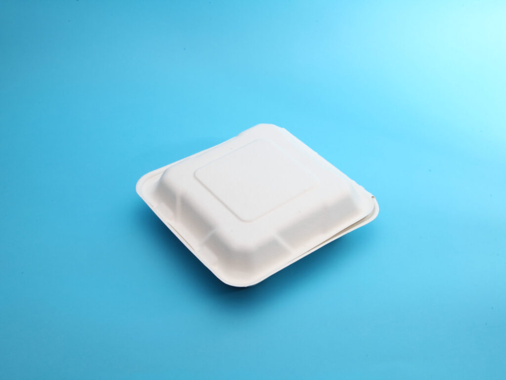 8″ 3-Compartment Square Compostable Clamshell Food Box 2.25in Height SH-083S