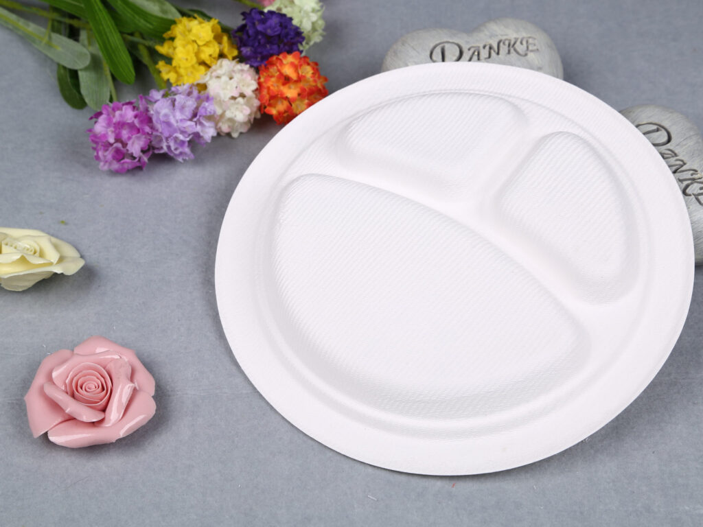 9-inch-plate-3compartment compostable plates 