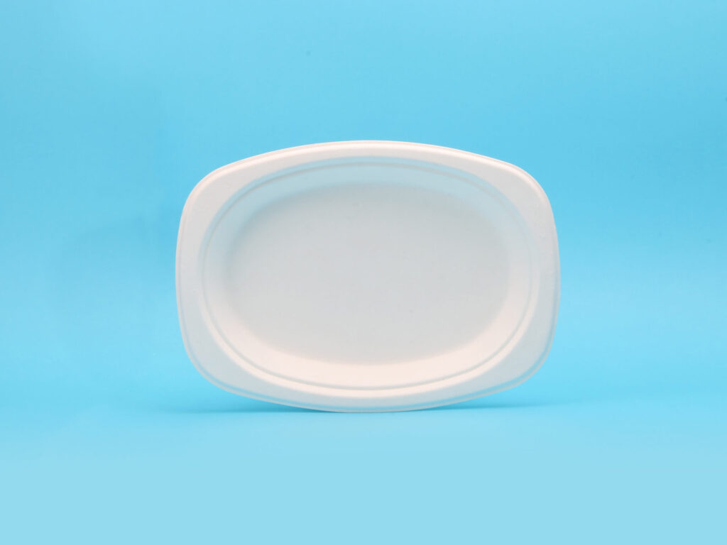 Compostable 9×6″ Rectangle Plate TY-C