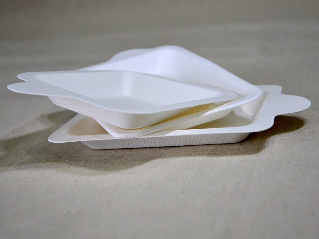 Compostable Rectangle Cake Plate RCP-101