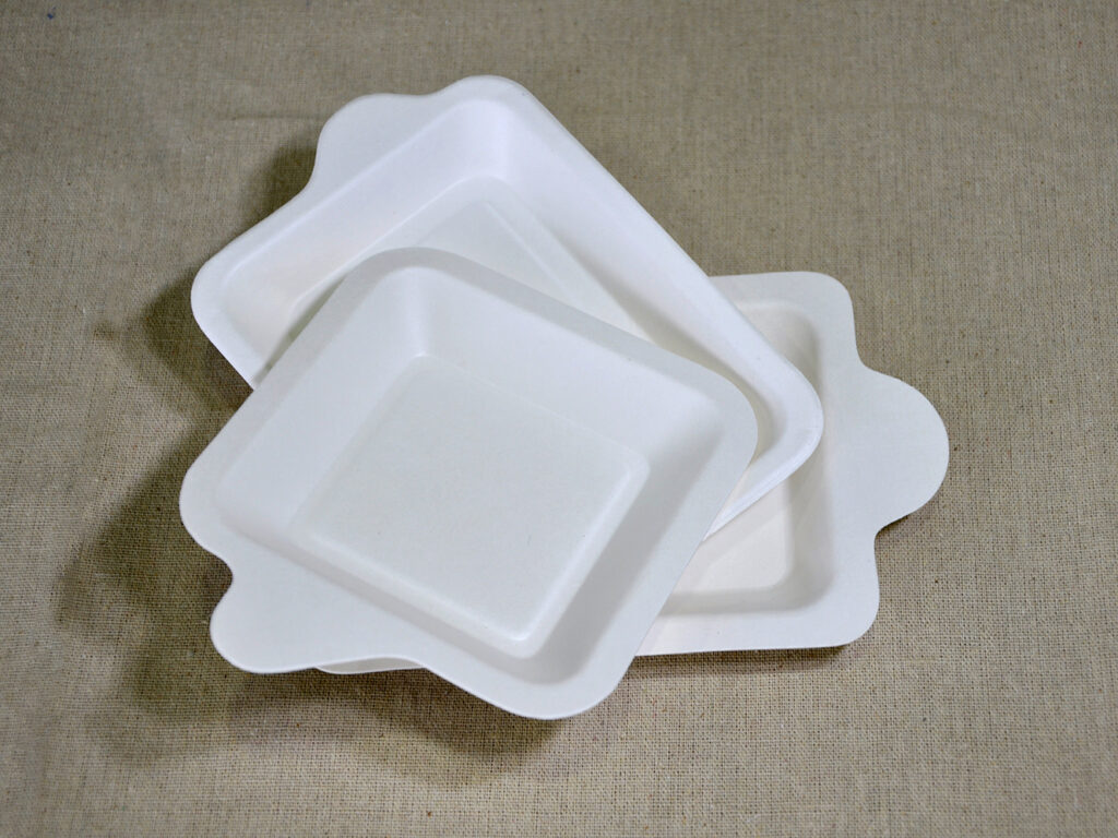 Compostable Square Cake Plate SCP-100