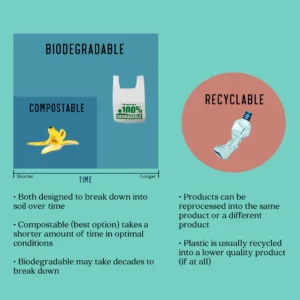 Compostable vs Biodegradable vs Recyclable