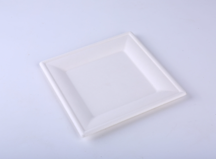 Compostable 8″ Square Plate FP-08