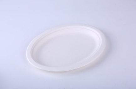 Compostable 10×7″ Oval Plate TY-A