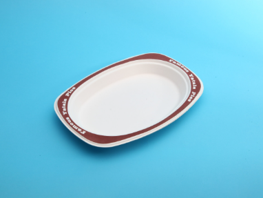 Compostable 9×6″ Rectangle Plate TY-C