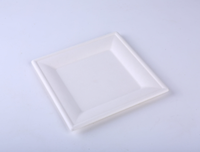 Compostable 10″ Square Plate FP-10