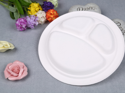 9″ Round Compostable Plate-3compartmentYP-93